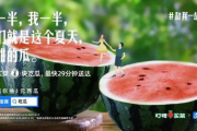 娱乐吃瓜点评文案搞笑,笑料百出，瓜皮满天飞